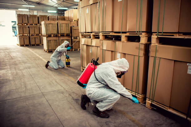 Best Mosquito Control Services  in Saratoga, WY