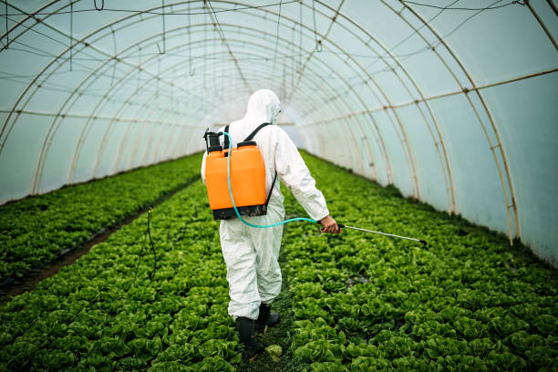 Best Local Pest Control Services  in Saratoga, WY