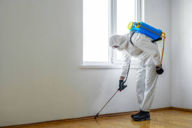 Best Emergency Pest Control  in Saratoga, WY