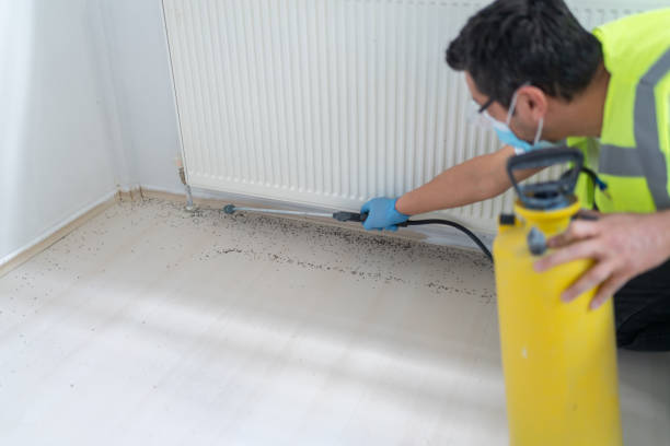 Best Affordable Pest Control Services  in Saratoga, WY